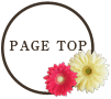 PAGETOP